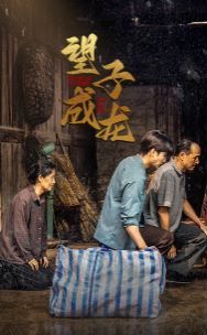 新望子成龙第21-40集