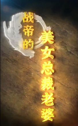 战帝的美女总裁老婆第21-40集