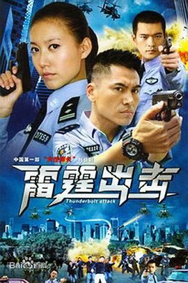 要案组雷霆出击第02集