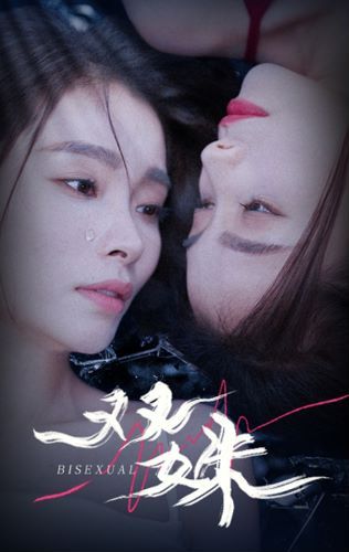 双姝第21-40集
