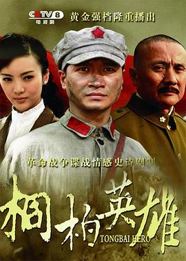 桐柏英雄第24集