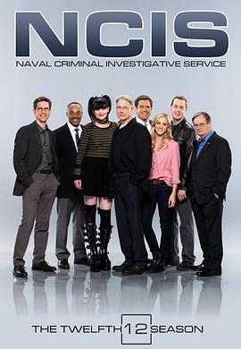 海军罪案调查处第十二季第09集
