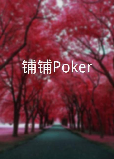铺铺Poker第11集